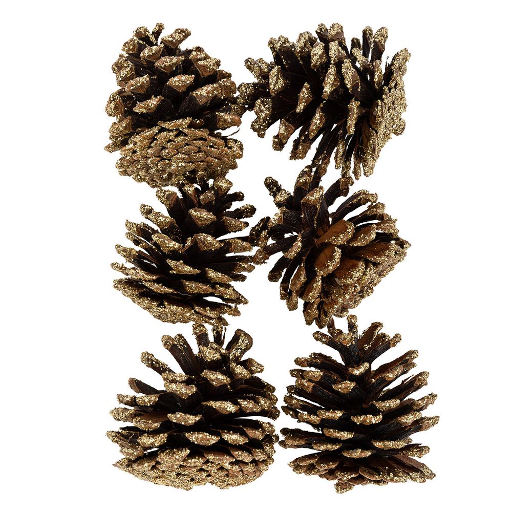 Шишки сосновые, 6 шт, 01 Сосна/под золото, Blumentag CIF-02, УЦЕНКА