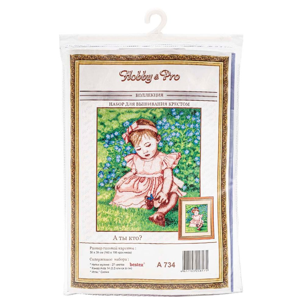 Набор для вышивания нитками Hobby&Pro, А ты кто?, 30х35 см