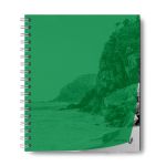 Тетрадь общая с пластик. обложкой, ч/б запечат. титульн.лист, 180 мкм, A5 48 л. на гребне 65 г/м², белизна 100% 4 шт клетка, 01548 Утренний пейзаж, зелёная, Светоч Т208