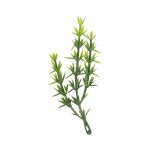 Миниатюра кукольная: Веточки полиэтилен 24 шт, 16, Blumentag GPT-06