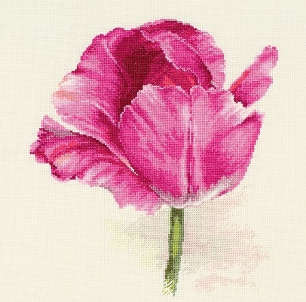 Алиса, Тюльпаны. Малиновое сияние 22х26 см, 636059