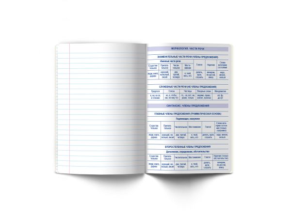 Тетрадь со справочным материалом Яркие краски, матовая ламинация + выбор. лак, A5+ 48 л. на скобе 65 г/м², белизна 100%, 10 шт, линия, 00870 Русский язык, Светоч 48Т8