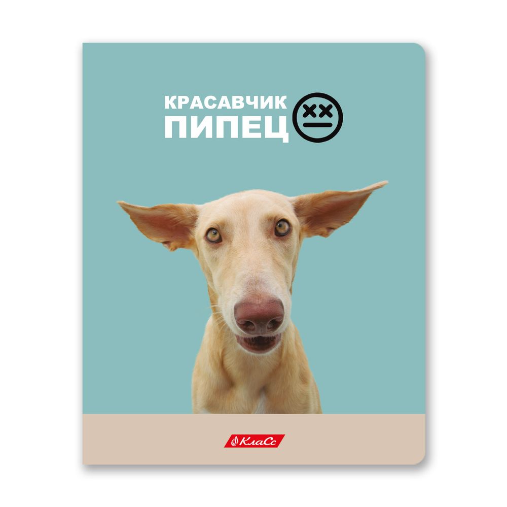 Тетрадь ученическая общая, A5+ 48 л. на скобе, белизна 100%, 10 шт, клетка, 000334 Ужасно милые, Светоч 48ТСК5_3_1