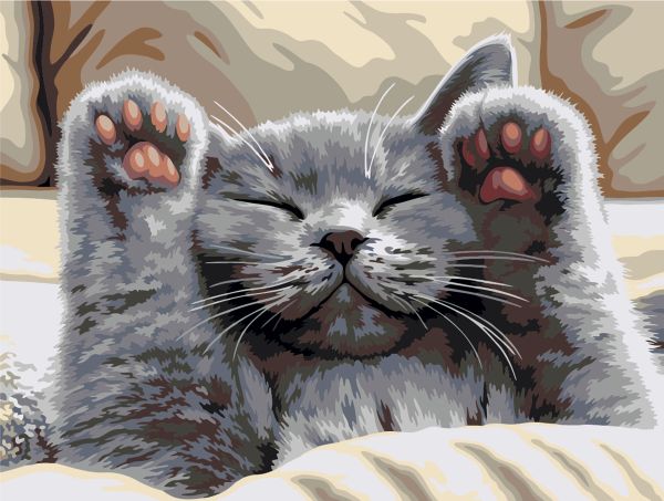 Картина по номерам Фрея PNB/PM-373, Нежные лапки, 40х30 см