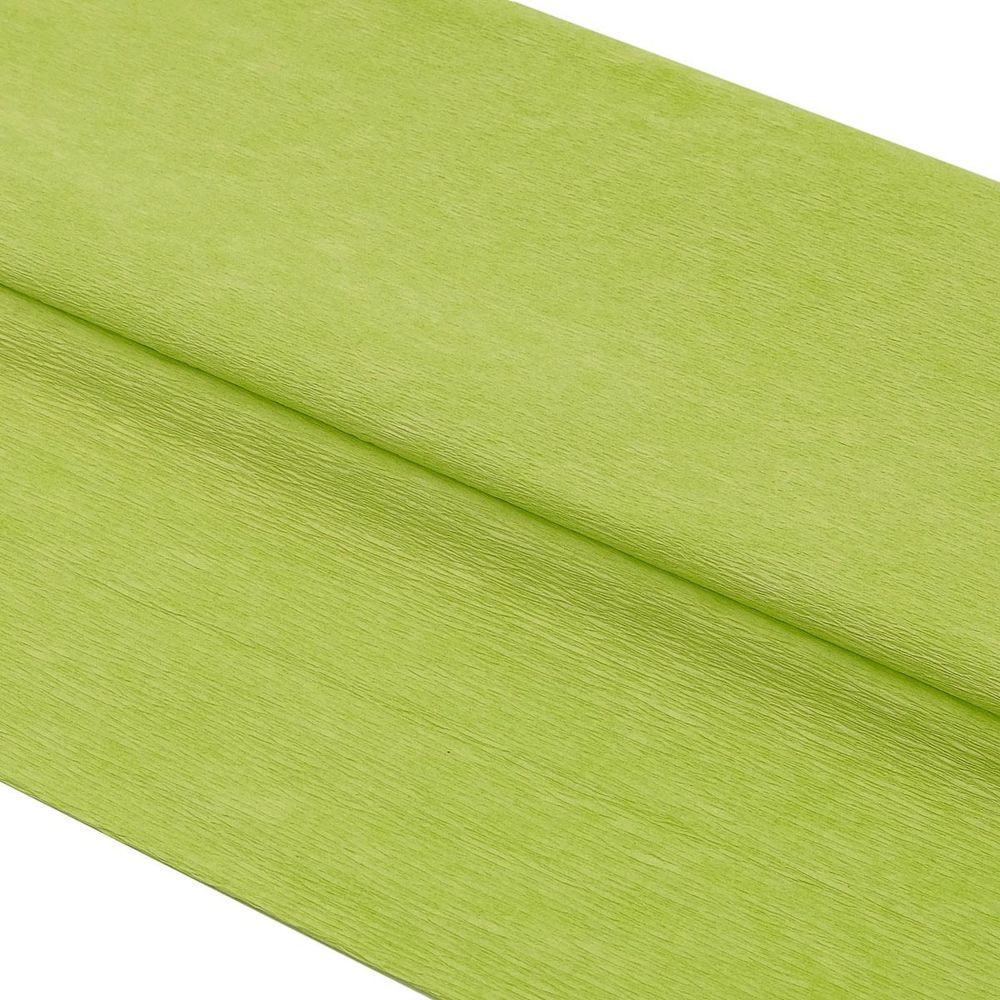 Бумага креповая 50х200 см, 35 гр/м2, 2 шт, цв. 80-34 светло-зеленый, Astra&amp;Craft