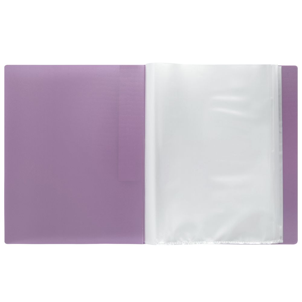 Папка с вкладышами 60 л. A4 700 мкм 25 мм, 1 шт, ежевика EC211820072, Expert Complete