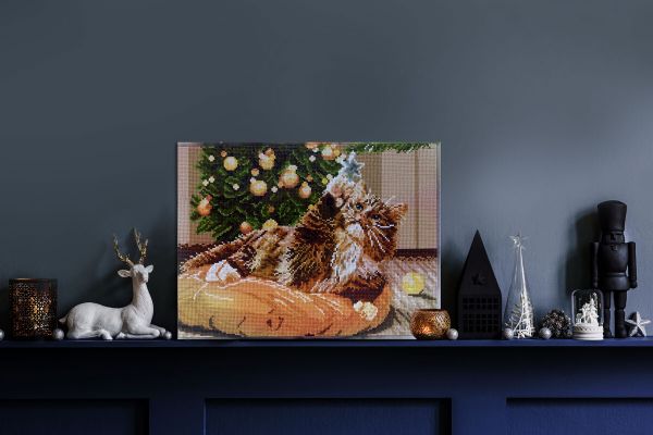 Алмазная (кристальная) мозаика Фрея ALPD-175, на подрамнике Озорной котенок, 40х30 см