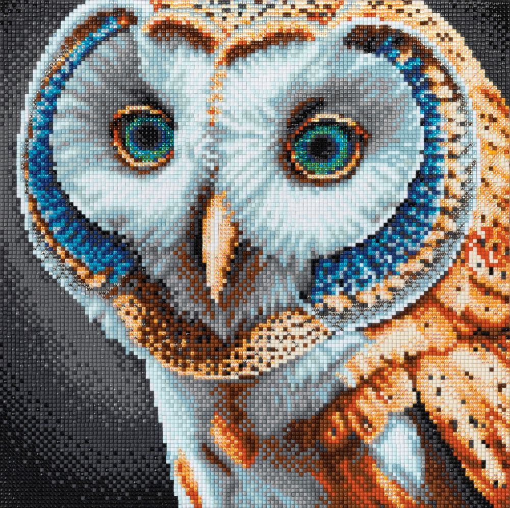 Алмазная (кристальная) мозаика Фрея ALPD-252, на подрамнике Золотая сова, 30х30 см