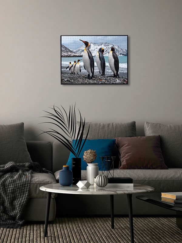 Пазл. Премиальная коллекция 500 элементов, TOP-PZL-500/08 Земля пингвинов, Фрея