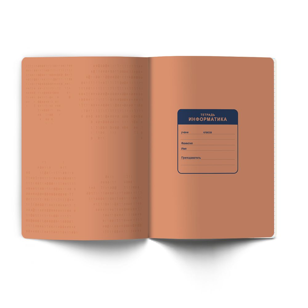 Тетрадь со справочным материалом Лёгким почерком, софт-тач ламинация, A5 48 л. на скобе 65 г/м², белизна 100% 10 шт, клетка, 01843 Лёгким почерком Информатика, Светоч Т284