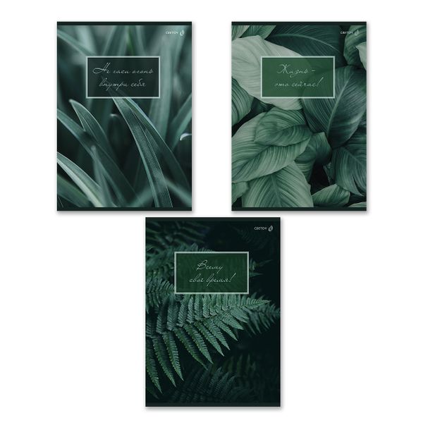 Тетрадь ученическая общая, A4 48 л. на скобе 65 г/м², белизна 100% 6 шт клетка, 01753 Малахитовая симфония, Светоч Т152