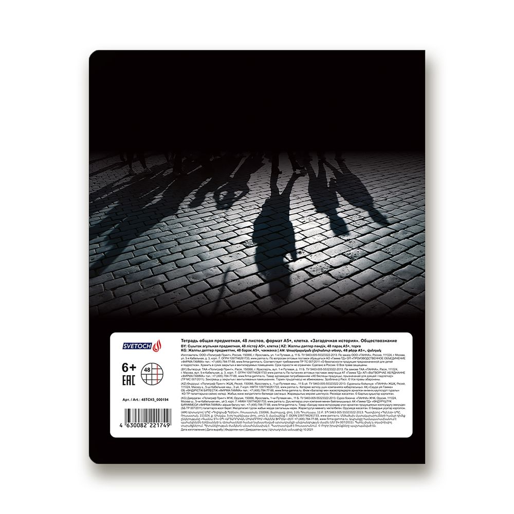 Тетрадь предметная Загадочная история A5+ 48 л. на скобе, белизна 100%, 10 шт, клетка, 48ТСК5/000194 Обществознание, Светоч