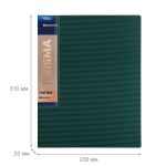 Папка с вкладышами 40 л. A4 600 мкм 20 мм, эффект 3D, 6 шт, изумрудный new EC211700110, Expert Complete EC211700110
