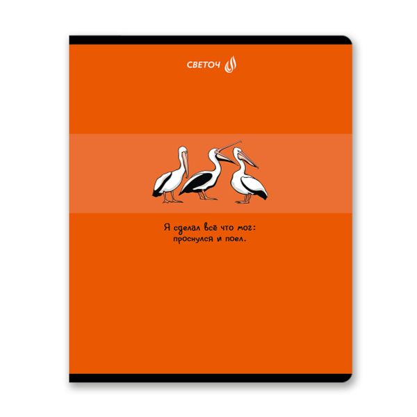 Тетрадь ученическая общая, A5 96 л. на скобе 65 г/м², белизна 100% 5 шт клетка, 01530 Море позитива, Светоч Т91