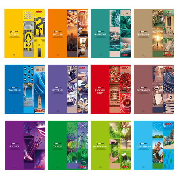 Комплект тетрадей со справочными материалами Доска желаний, 12 шт в комплекте, A5+ 48 л. 12 шт, на скобе 60 г/м², белизна 90%, клетка/линия, 000583 12 предметов, Светоч 48КТПСКд5_0_2