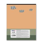 Бизнес-блокнот, глянцевая ламинация, A5+ 80 л. 18 шт, клетка, Архитектура 000421, Светоч 80ББТ5_3_5_1