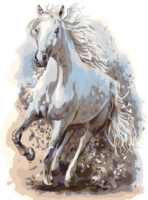 Картина по номерам Фрея, Со скоростью ветра, 40х30 см