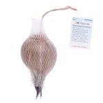 Помпоны декоративные енот, 1 шт, 01 бежевый, Gamma POFM-02