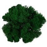 Мох стабилизированный окрашенный 50±5 г, №05 т. зеленый, Blumentag