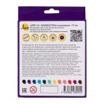 Фломастеры смываемые 12 цв, Лео LPFP-12