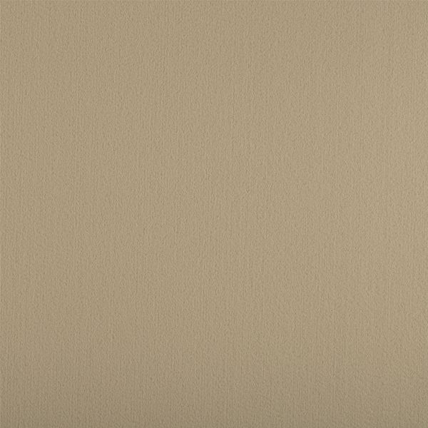 Фетр листовой жесткий 2.0 мм, 33х53 см, RO-04 бежевый, Gamma FKR20-33/53