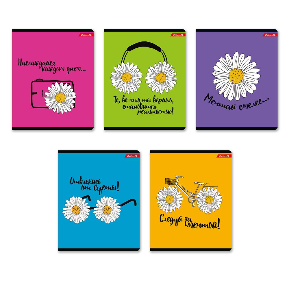 Тетрадь ученическая общая, выборочный лак, A5+ 48 л. на скобе, белизна 100%, 10 шт, клетка, 000316 В лето за мечтой, Светоч 48ТСК5_4_3_1