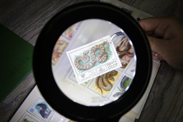 Лупа складная с подсветкой⌀9 см (ув.х2), Ferstel FR-06