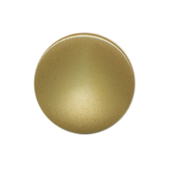 Пуговицы на ножке Карамель 15 мм, 144 шт, 010 бежевый, Gamma 