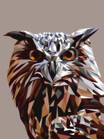 Картина по номерам Фрея, на картоне Геометрическая сова, 40х30 см