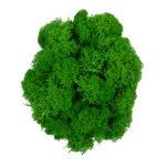 Мох стабилизированный окрашенный 50 г, 03 св.зеленый, Blumentag, BMSR-50