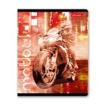 Тетрадь ученическая общая, глянцевая ламинация, A5+ 48 л. на скобе 65 г/м², белизна 100%, 10 шт, клетка в термоусадочной пленке, 000734 Мотогонщик, Светоч 48ТЕТк-004