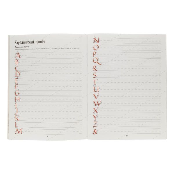 Книга. Леттеринг. Обучающий курс. Прописи. Шаблоны. 978-5-91906-939-3 99905666