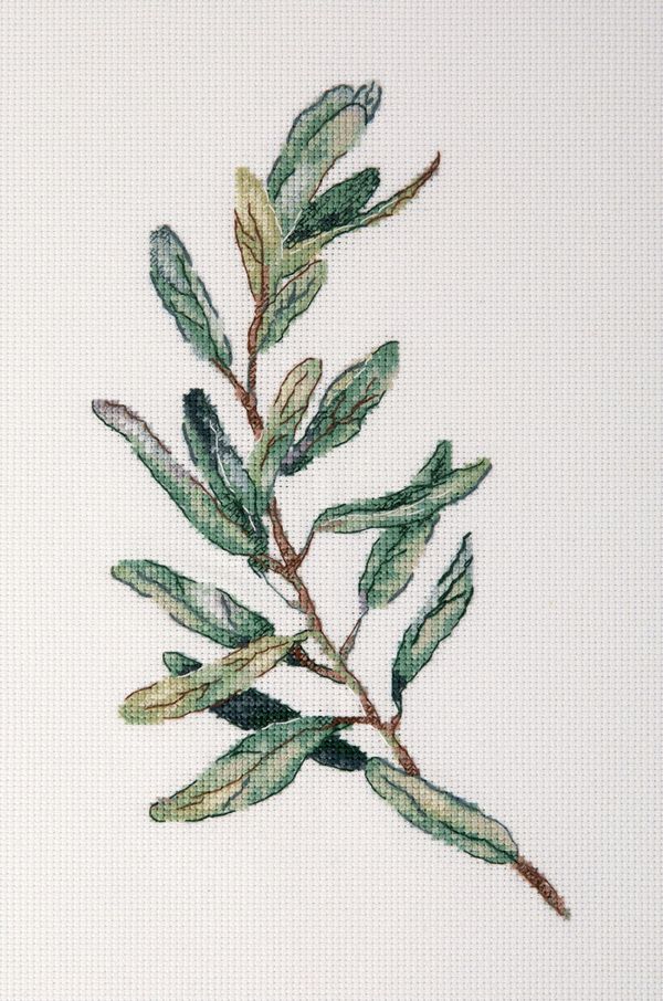 Набор для вышивания нитками Panna, Веточка оливы, 30х21 см