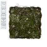 Флористический каркас 39х39х3 см, зеленый, Blumentag MRB-67