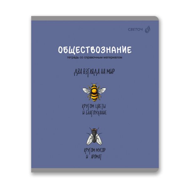 Комплект тетрадей со справочными материалами Большая перемена, выбор.лак, A5 48 л. 12 шт на скобе 65 г/м², белизна 100% 1 шт клетка/линия, 01884 12 предметов, Светоч Т295