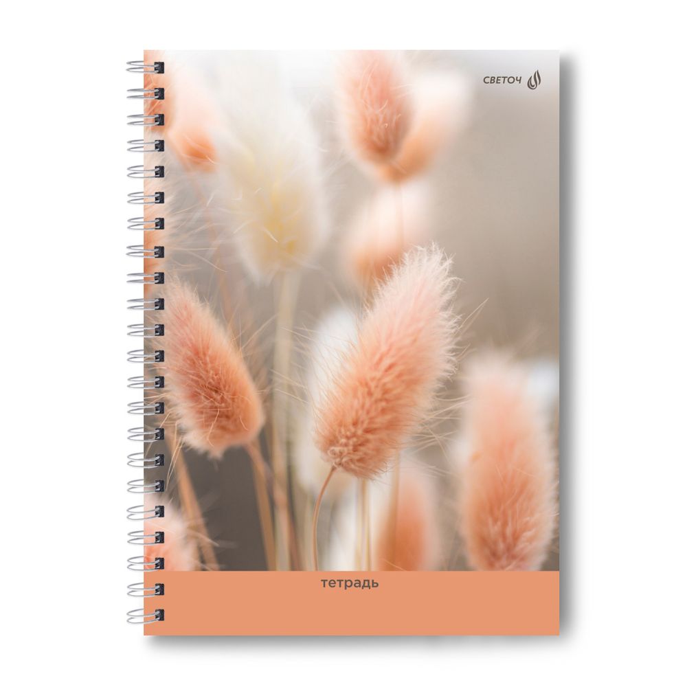 Тетрадь ученическая общая, A4 80 л. на гребне 65 г/м², белизна 100 %, 4 шт, клетка, 01228 Душистый колосок, Светоч Т125