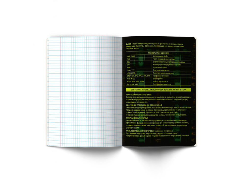 Тетрадь со справочным материалом Эволюция, глянцевая ламинация, A5+ 48 л. на скобе 65 г/м², белизна 100%, 10 шт, клетка, 00885 Информатика, Светоч 48Т5