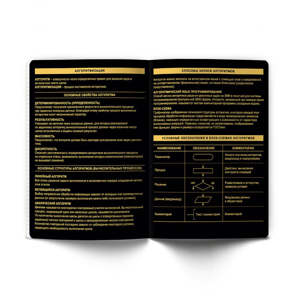 Тетрадь со справочным материалом Золотая коллекция, тиснение золотой фольгой, A5+ 48 л. на скобе 65 г/м², белизна 100 %, 10 шт, клетка, 01332 Золотая коллекция Информатика, Светоч Т145