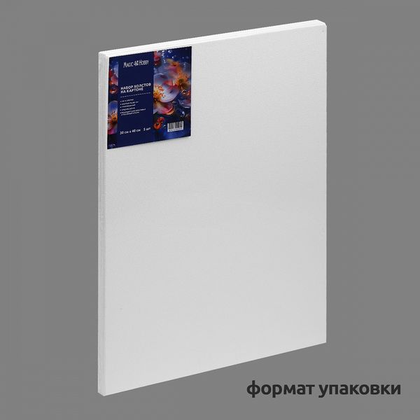 Набор холстов на картоне 30х40 см, хлопок 100%, 5 шт