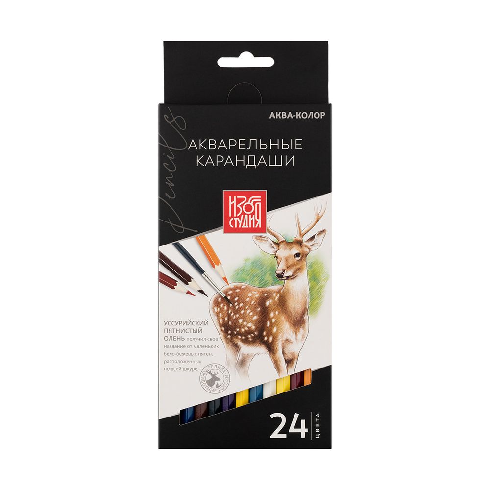 Карандаш акварельный в наборе заточенный 4х24 цв, Аква-колор