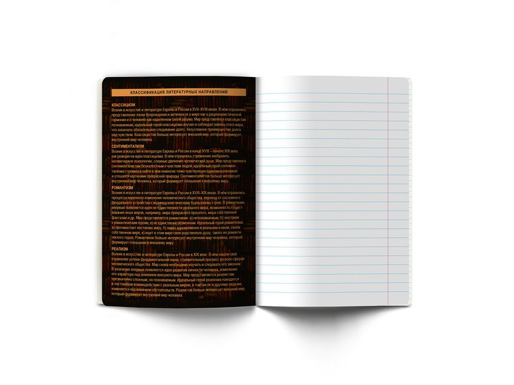 Тетрадь со справочным материалом Эволюция, глянцевая ламинация, A5+ 48 л. на скобе 65 г/м², белизна 100%, 10 шт, линия, 00881 Литература, Светоч 48Т4