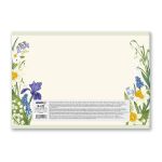 Альбом для рисования 100 г/м², A4 29х20.5 см, 16 л. на скобе, 10 шт, 000695 Ботаника, Светоч 16АЛСК4_1_3_9