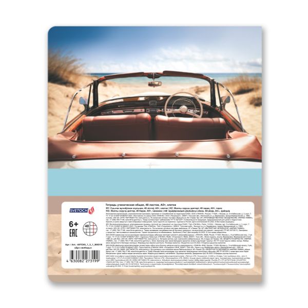 Тетрадь ученическая общая A5+ 48 л. на скобе, белизна 100%, 10 шт, клетка, 000318 Дух свободы, Светоч 48ТСК5_1_3_1