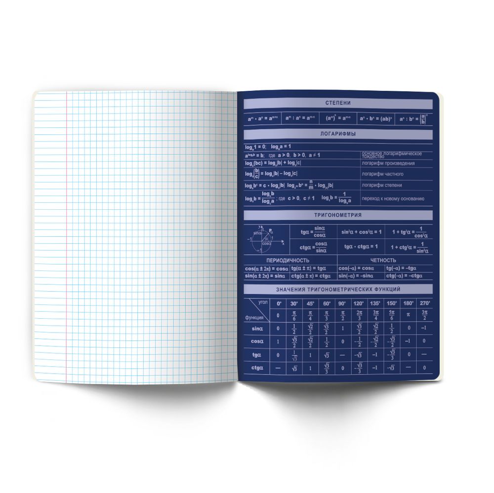 Комплект тетрадей со справочными материалами Золотые главы, тисн.золот.фольгой, A5 48 л. 12 шт на скобе 65 г/м², белизна 100% 1 шт, клетка/линия, 01887 12 предметов, Светоч Т298