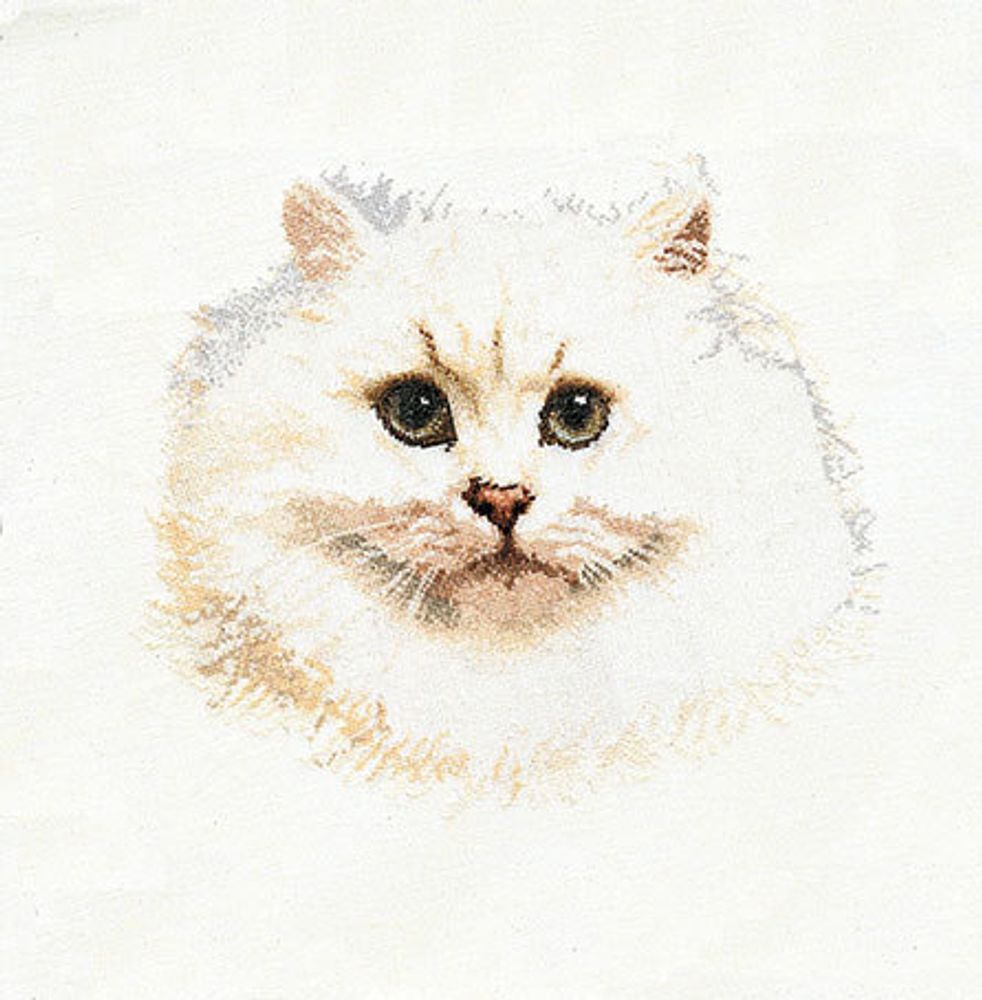 Thea Gouverneur, Белый персидский кот, 42 см