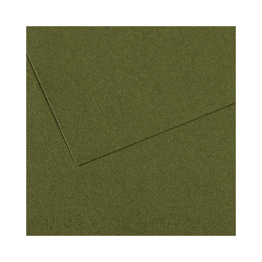 Бумага для пастели 160 г/м², 75х110 см, 25 листов, №448 плющ, Canson Mi-Teintes C200331457