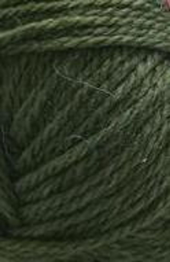 Пряжа Троицкая Подмосковная / уп.10 мот. по 100 г, 250м, 0326 зеленый чай