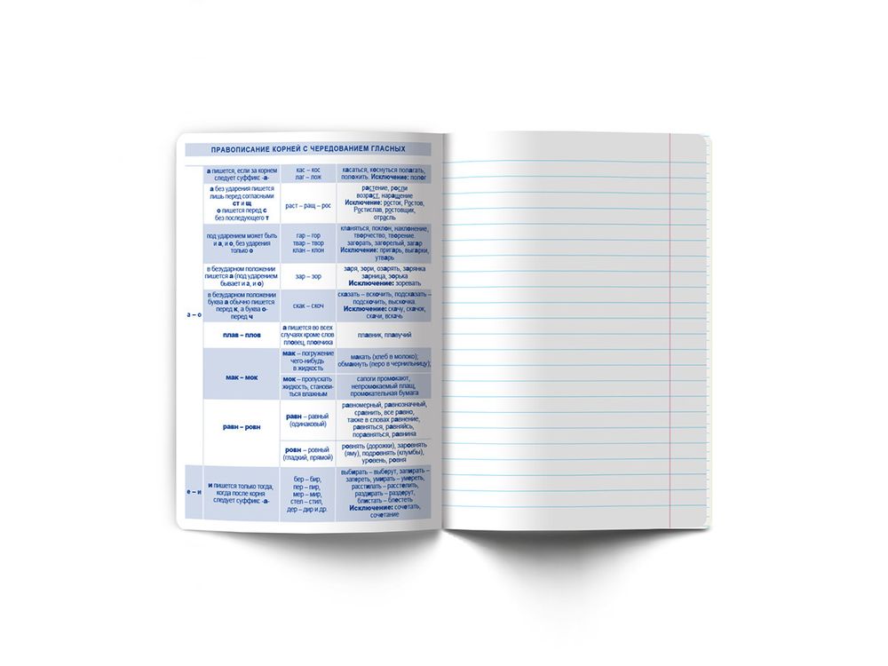 Тетрадь со справочным материалом Знания в действии, A5+ 48 л. на скобе 60 г/м², белизна 90%, 10 шт, линия, 00834 Русский язык, Светоч 48Т3