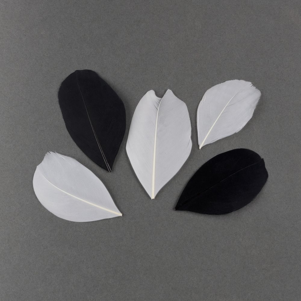 Перья декоративные 5-6 см, 5х3 г,±0.5 г, 03 белый/ черный, Mr.Painter PLU-06