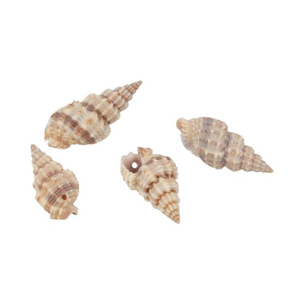 Ракушки декоративные 35х20 мм, 100 г (5х20 г), №01 натуральный, Zlatka D20-37